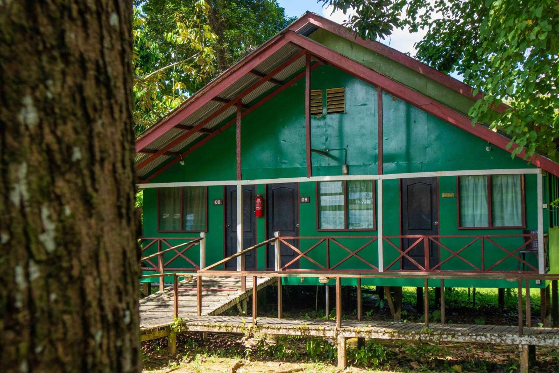 Sukau Greenview Bed & Breakfast Екстер'єр фото